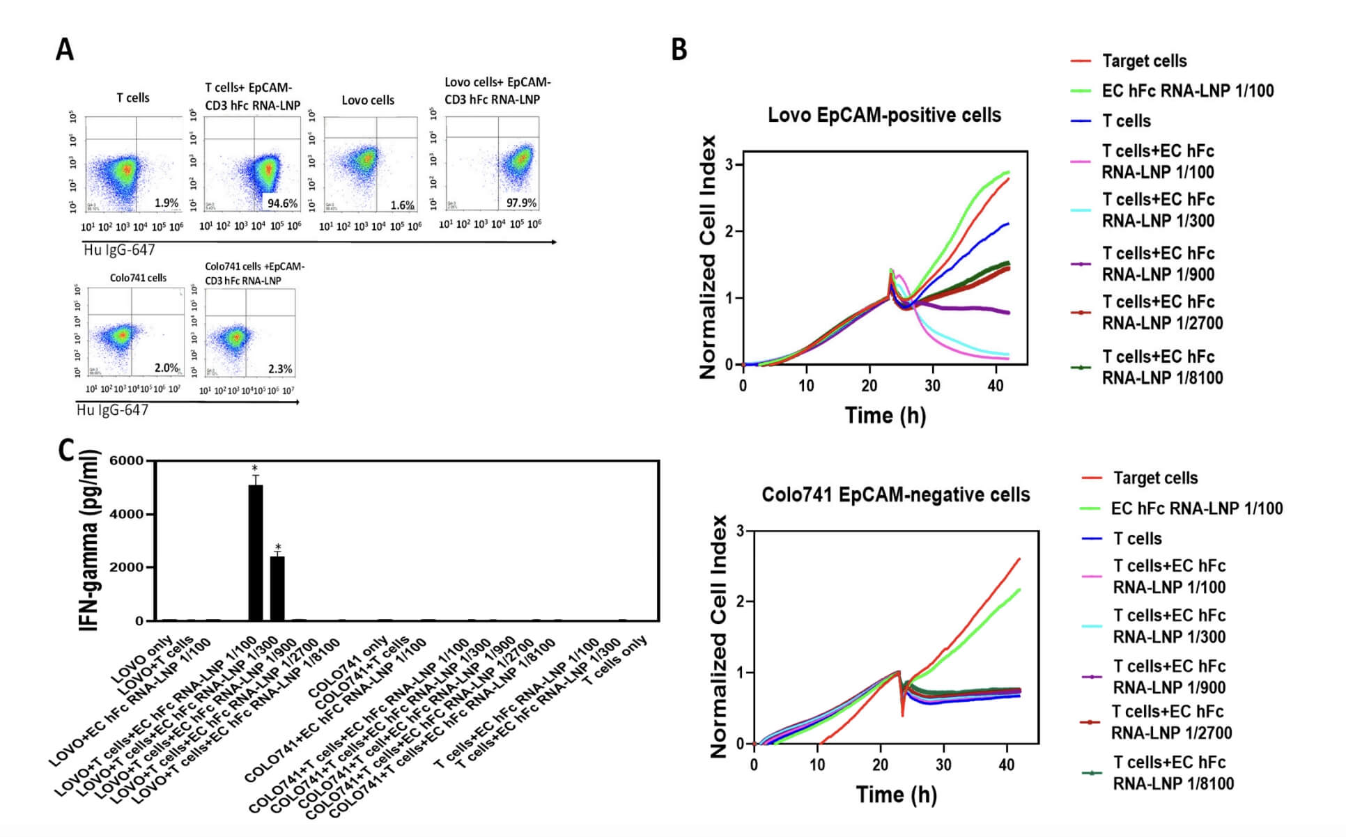 EpCAM-CD3 hFc mRNA-LNP Transfection to HEK-293 Cells Generates Antibodies That Bind to Lovo and T Cells and Demonstrates Specific Killing. (Golubovskaya, Vita, et al., 2023)