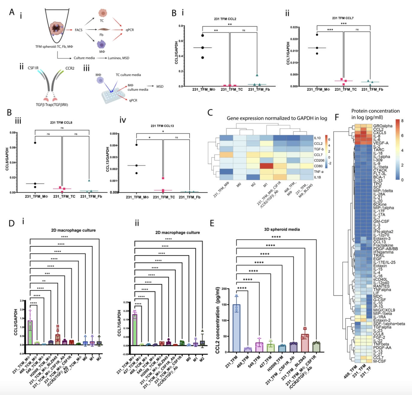 Macrophages (MØs) in 231 TFM Tri-culture Tumor Spheroids Primarily Contribute to the Secretion of CCL2 and CCL7, 211 and This Process is Regulated by CSF-1R. (Nguyen, Huu Tuan, et al., 2024) 