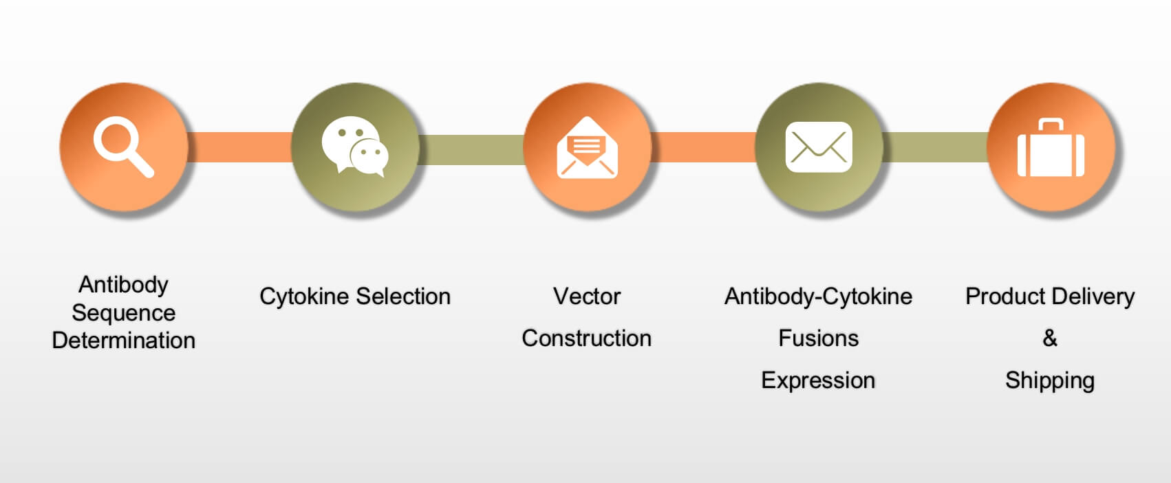Service Process. (Creative Biolabs Original)