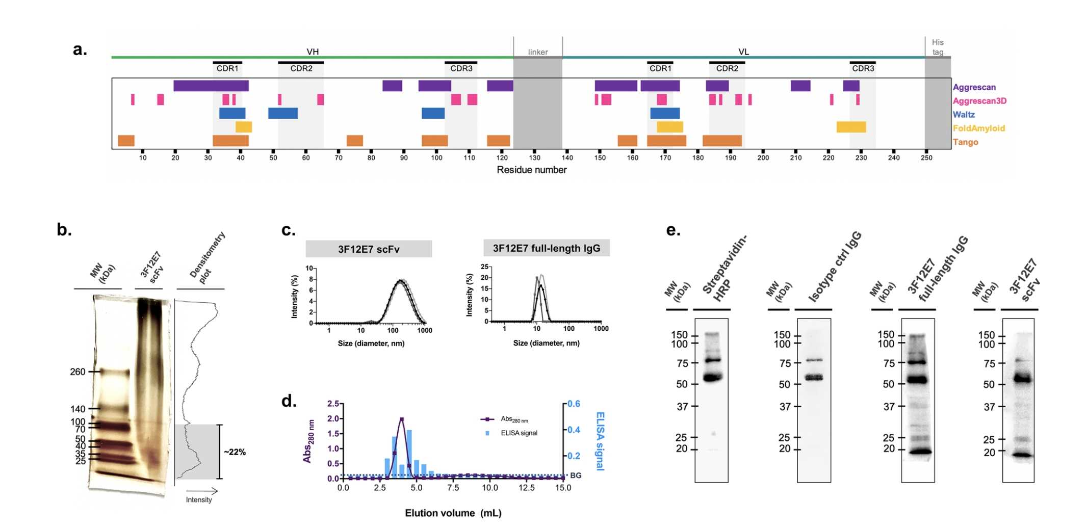 Analysis of the scFv Aggregation State and Activity.