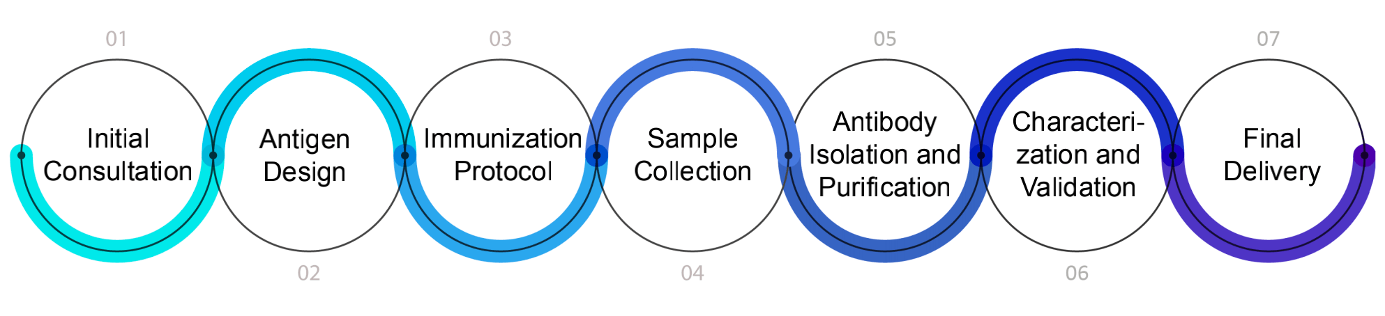 Fig.2 Process. (Creative Biolabs Original)