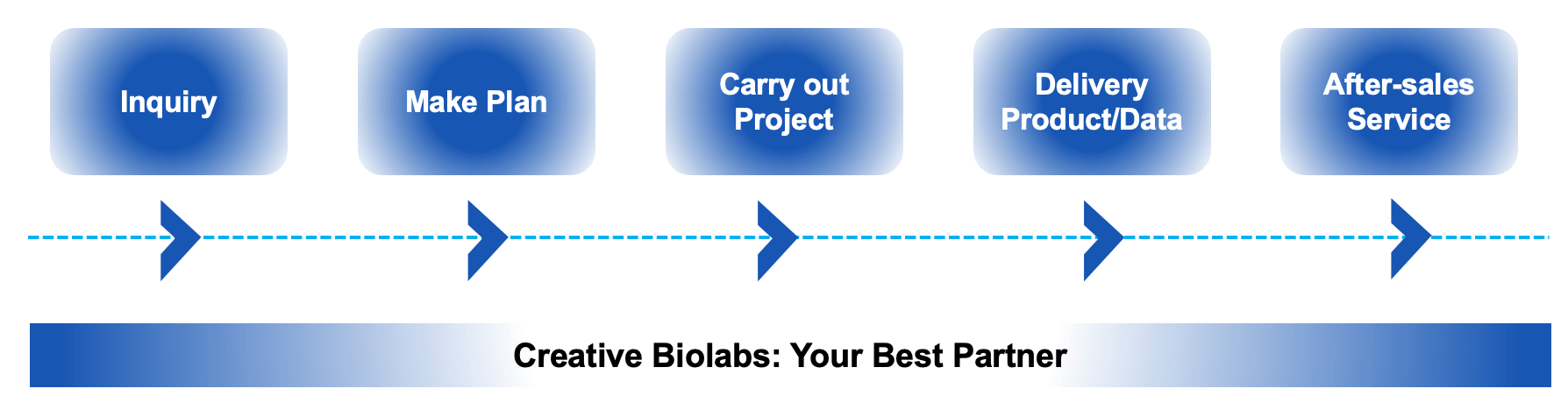 Fig.7 Contact us. (Creative Biolabs Original)