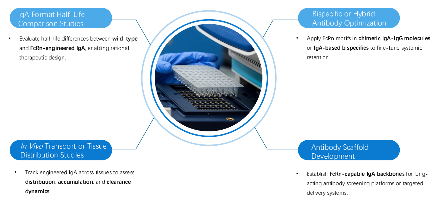 Fig.1 Applications of this service. (Creative Biolabs Original)