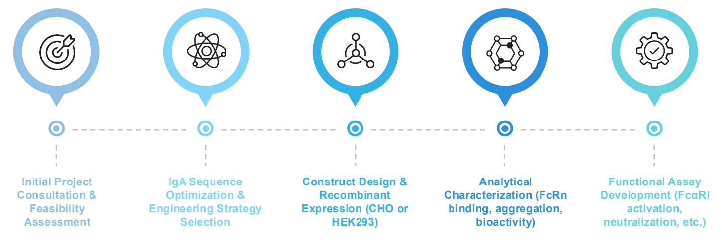 Fig.1 Workflow. (Creative Biolabs Original)