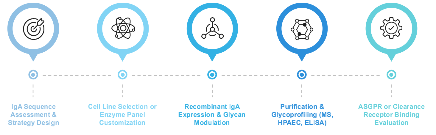 Fig.1 Workflow. (Creative Biolabs Original)