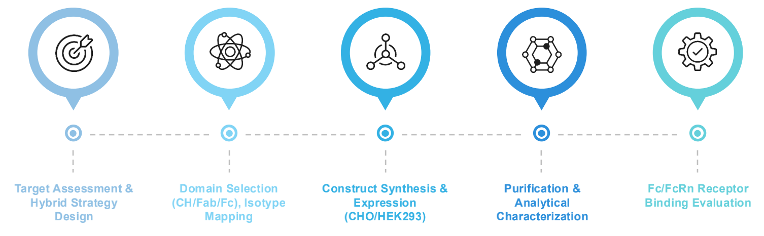 Fig.1 Workflow. (Creative Biolabs Original)