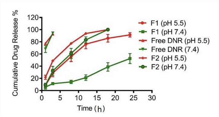 In Vitro Release Profiles of DNR Encapsulated Liposome. 