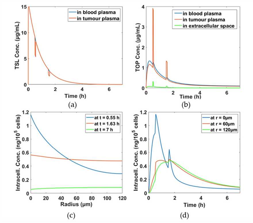 Spatio-temporal Distributions of TSL And Topotecan (TOP) Concentrations in Different Compartments.
