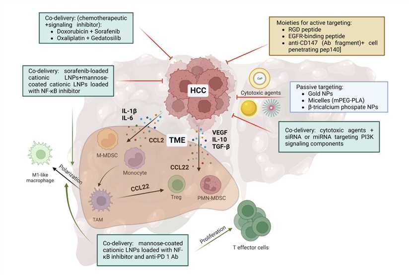 Nanodrugs For Liver Tumor Therapy.