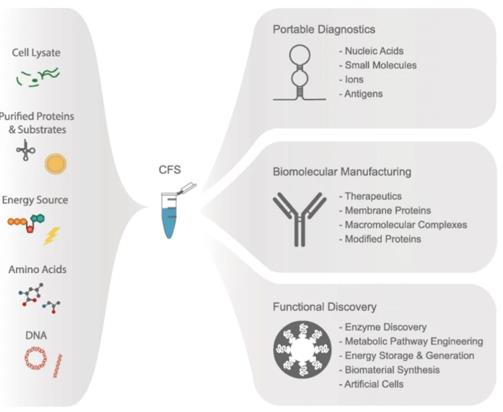 Cell-free expression systems and their applications. (Tinafar, et al., 2019)