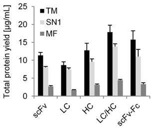 Diagram showing protein yields. (Stech, et al., 2017)