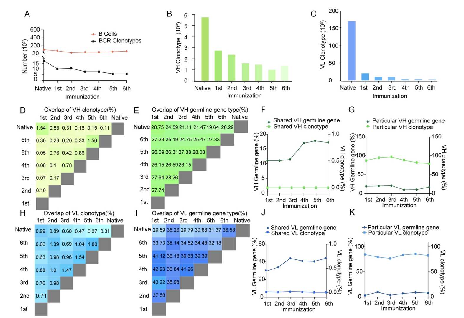 Analysis of CAP-specific BCR Diversity During the Repeated Immunization.