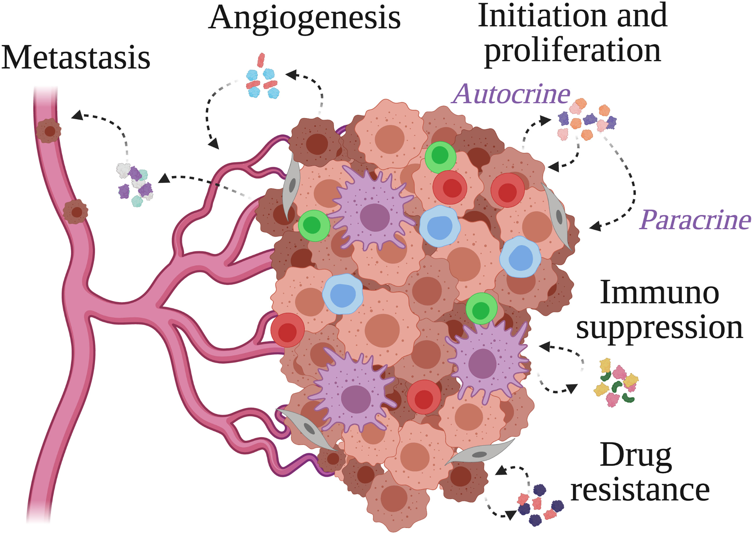 Figure 1 Structural and Functional Basis of chimeric antigen receptor (CAR)