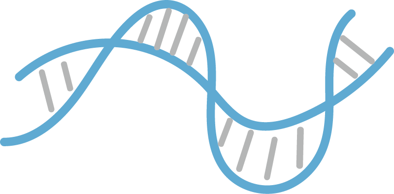 High-Throughput Antibody Production Step 2: Gene Synthesis