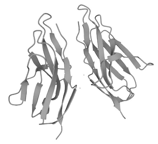 Figure 1. The Structure of Human CD79b
