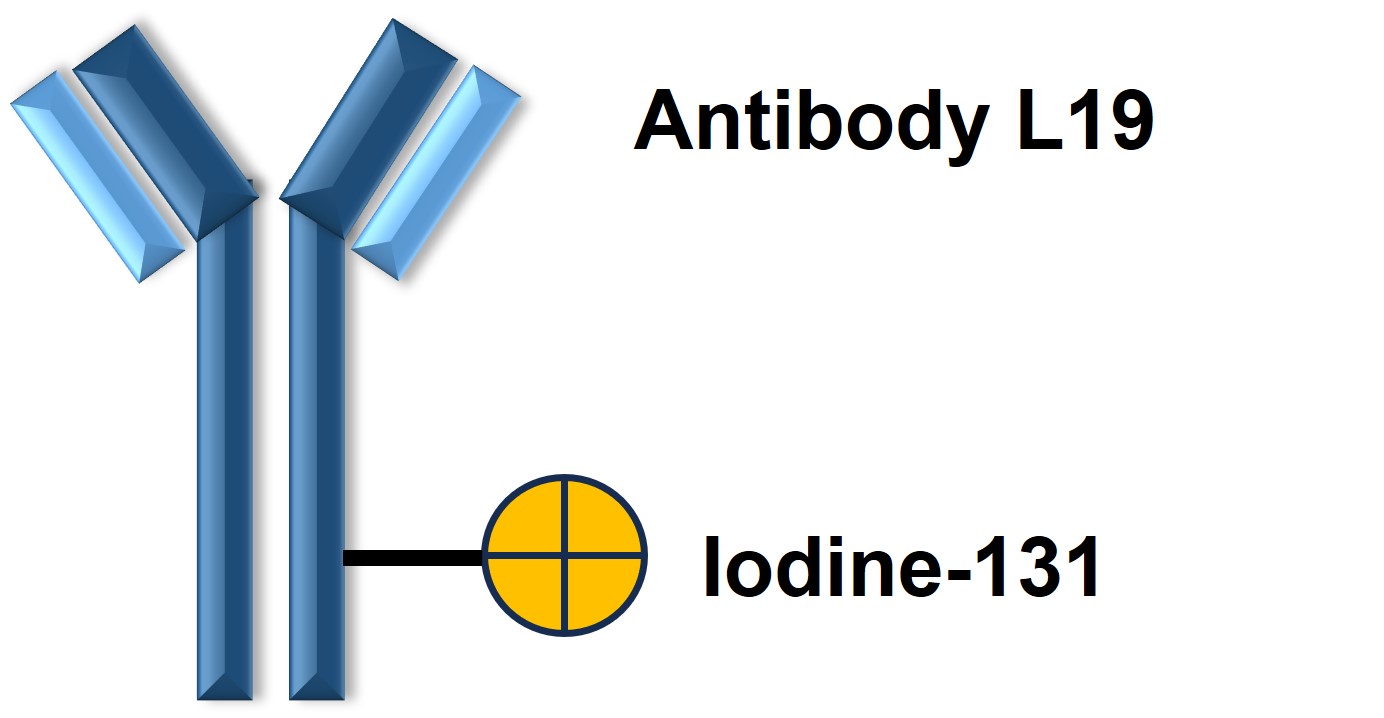 Figure 1. The Structural Features of Radretumab (Creative Biolabs Original)