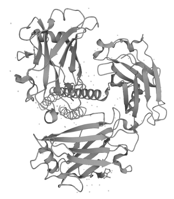 Figure 1. The Structural Features of Human TNR5