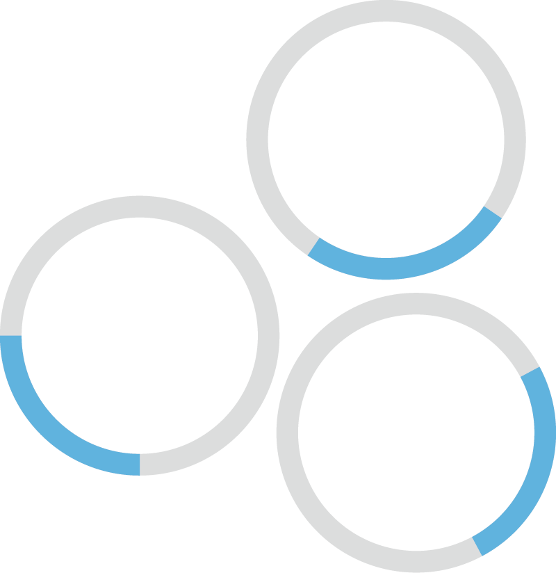 High-Throughput Antibody Production Step 3: Vector Construction