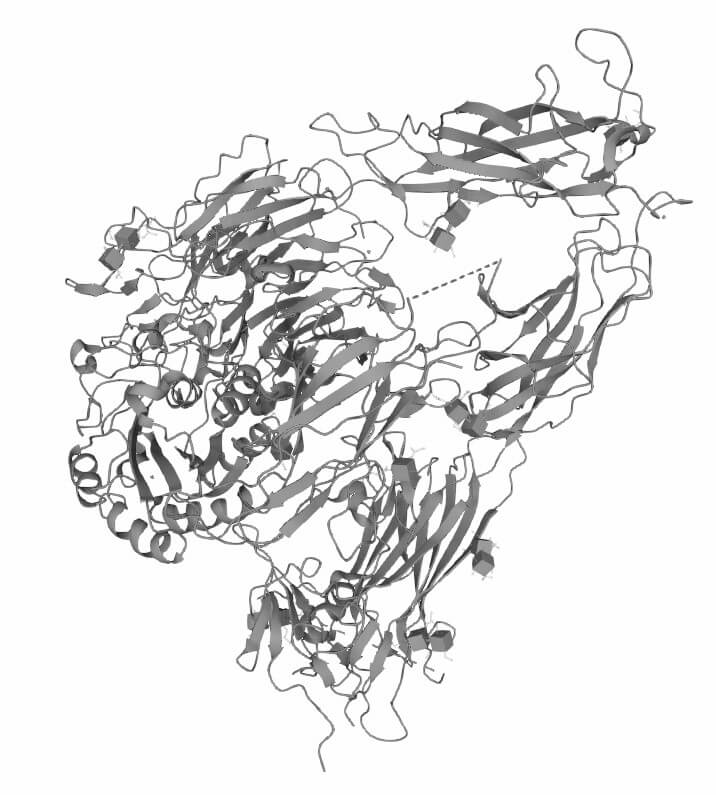 Figure 1. The Structural Properties of Human Integrin Beta-3. (UniProt)1,2
