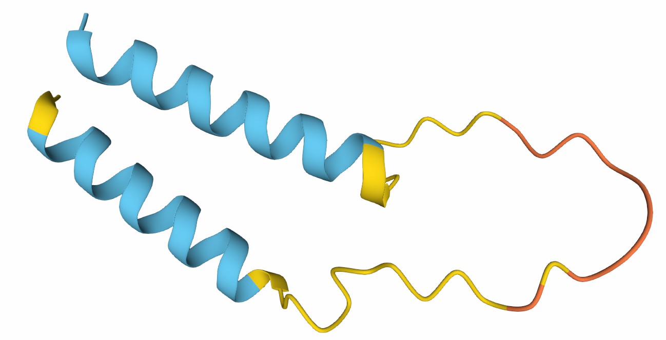 Figure 1. The Structural Properties of Human CD52
