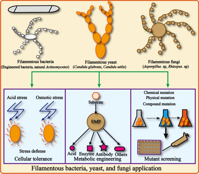 Fig.1 Organisms.