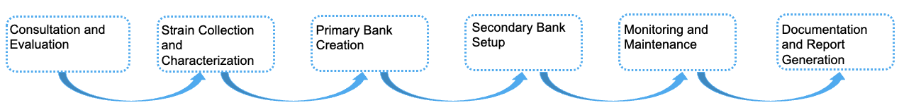 Fig.1 Process. (Creative Biolabs)