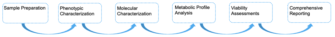 Fig.1 Process. (Creative Biolabs)
