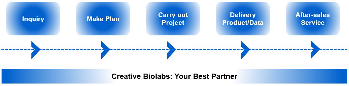 Fig.2 Process. (Creative Biolabs)