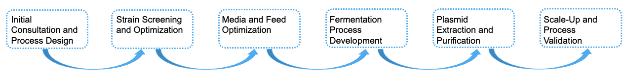Fig.1 Process. (Creative Biolabs)