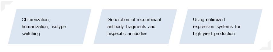 Antibody engineering platform. (Creative Biolabs original)