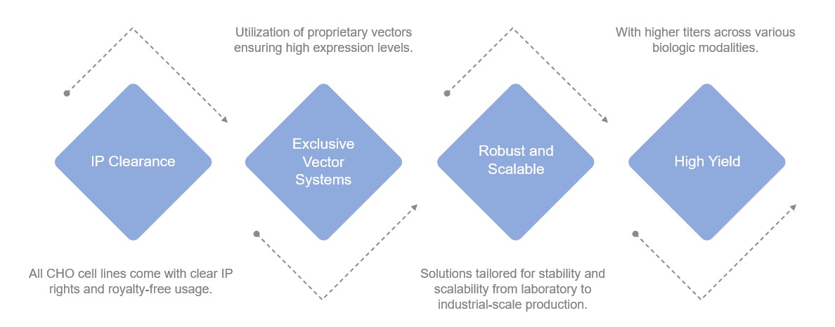 Fig.1 Highlights of our service. (Creative Biolabs Original)