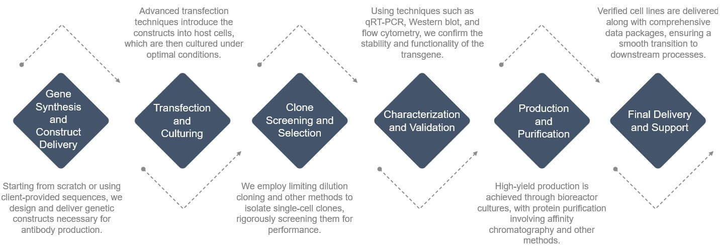 Fig.1 Workflow. (Creative Biolabs Original)
