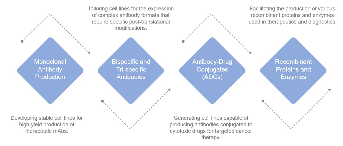 Fig.2 Our service application scenario. (Creative Biolabs Original)