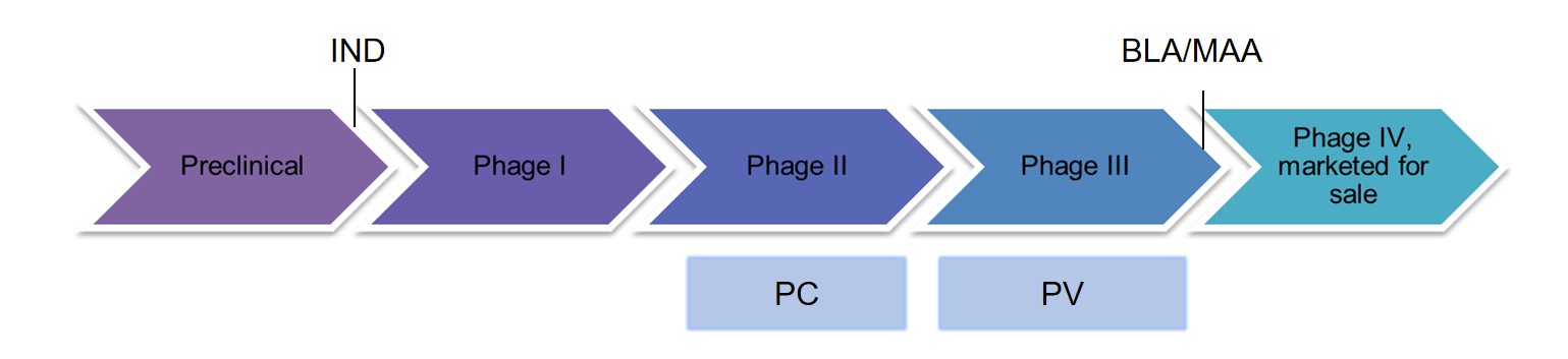 Antibody production process. (Creative Biolabs original)