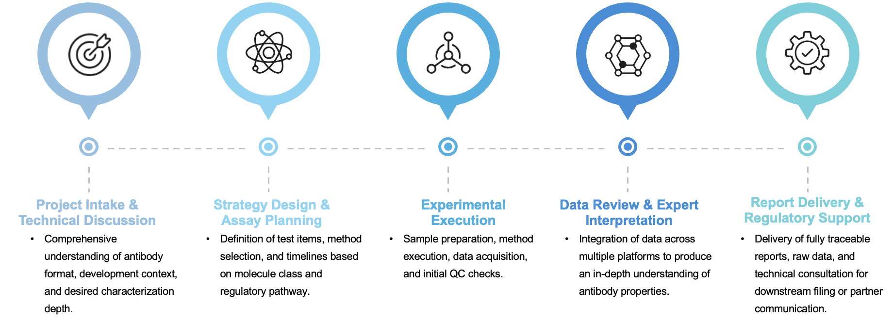 Fig.1 Workflow. (Creative Biolabs Original)