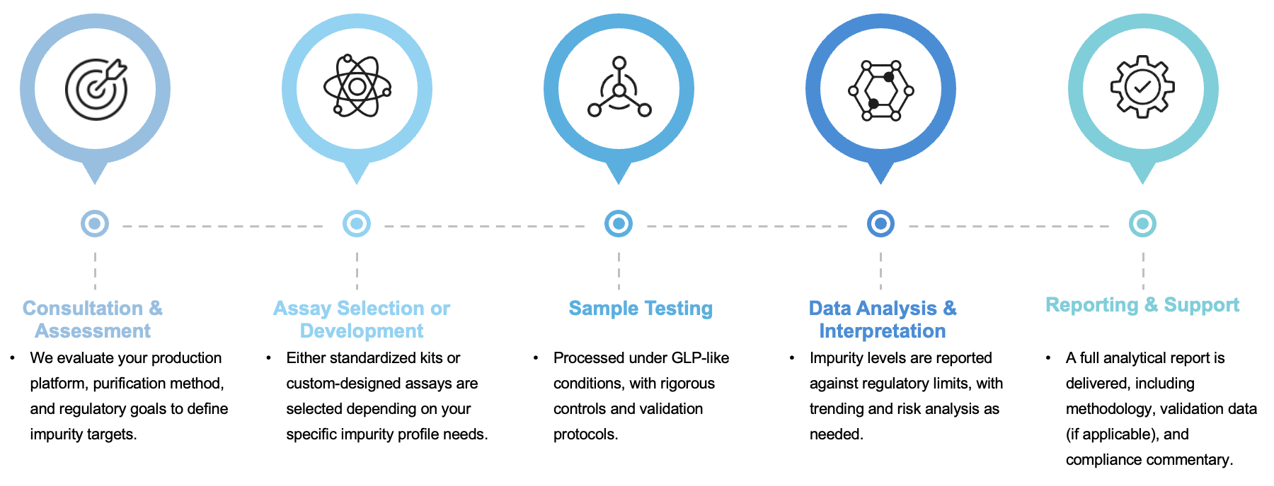 Fig.2 Workflow. (Creative Biolabs Original)