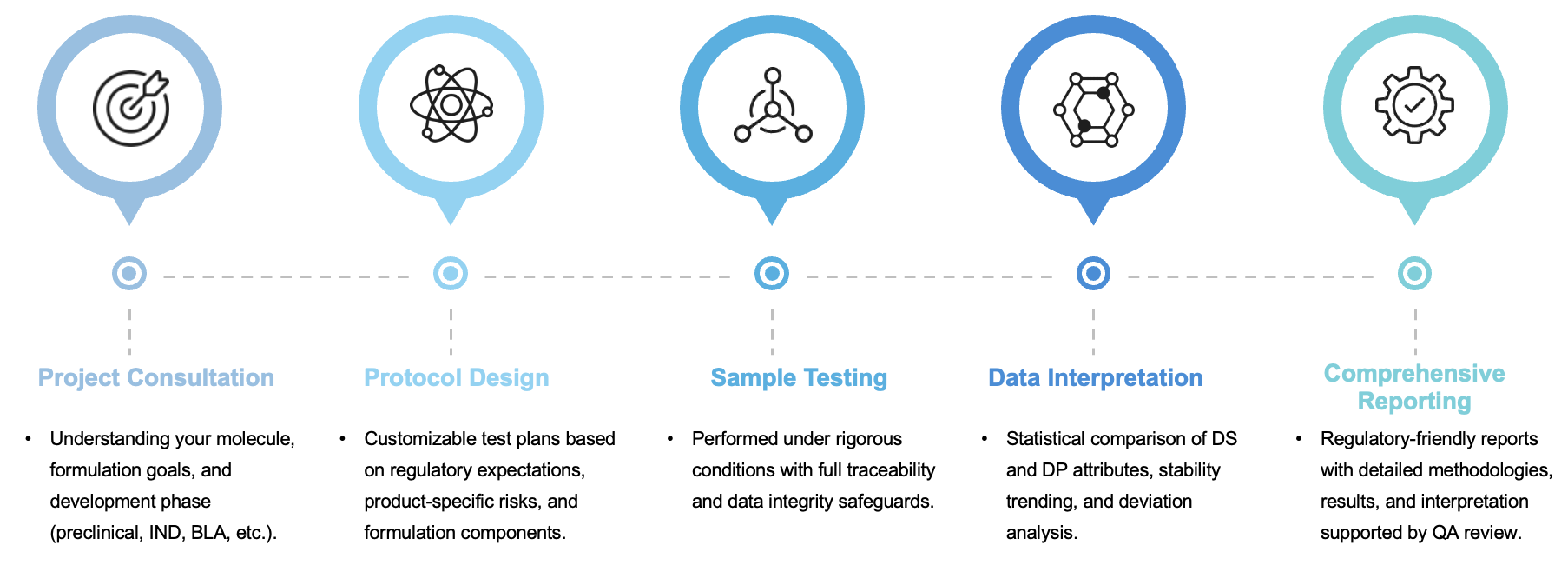 Fig.2 Workflow. (Creative Biolabs Original)