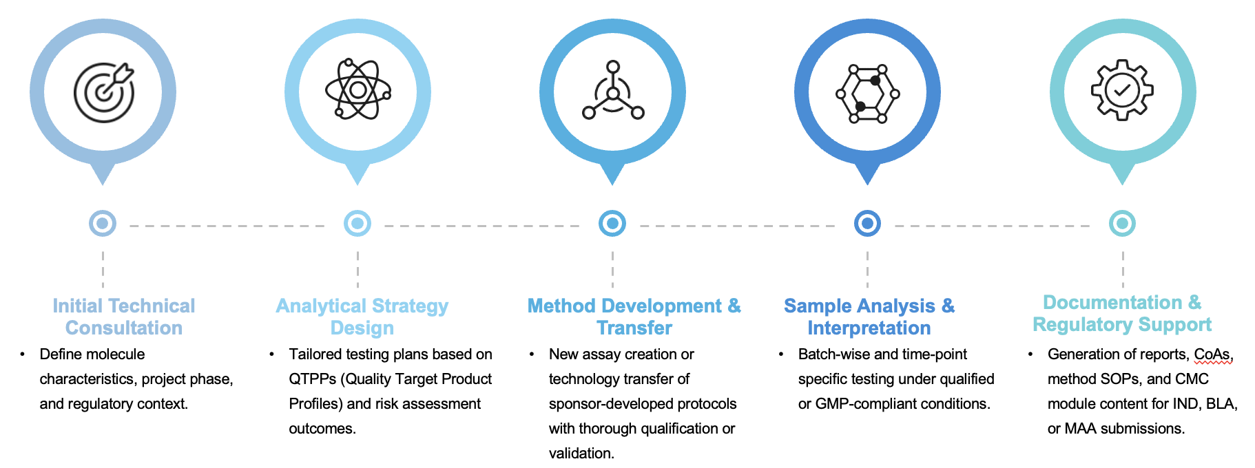 Fig.2 Workflow. (Creative Biolabs Original)