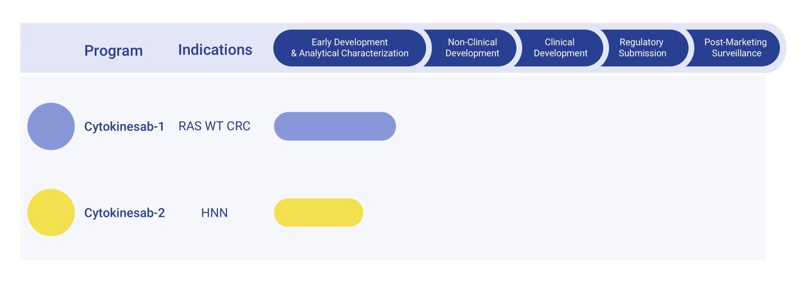 Fig.1 Cetuximab Biosimilar Pipeline. (Creative Biolabs Original)