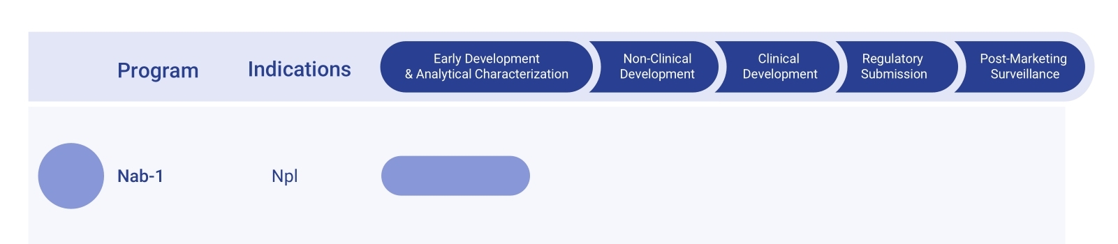Fig.1 Satumomab Biosimilar Pipeline. (Creative Biolabs Original)