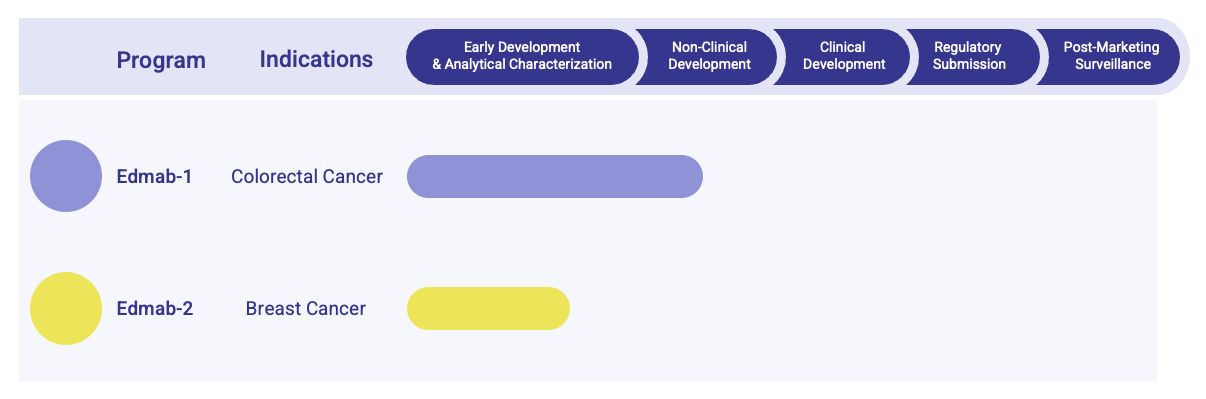 Fig.1 Edrecolomab Biosimilar Pipeline. (Creative Biolabs Original)