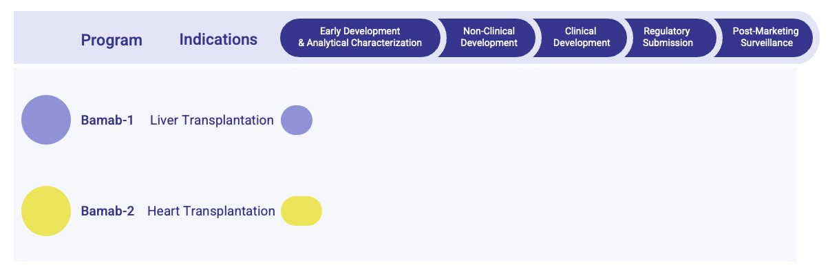 Fig.1 Basiliximab Biosimilar Pipeline. (Creative Biolabs Original)