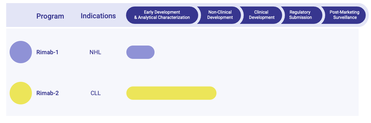 Fig.1 Rituximab Biosimilar Pipeline. (Creative Biolabs Original)