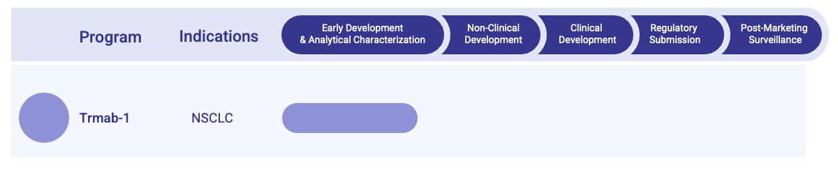 Fig.1 Trastuzumab Biosimilar Pipeline. (Creative Biolabs Original)