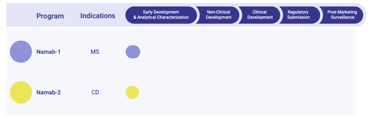 Fig.1 Natalizumab Biosimilar Pipeline. (Creative Biolabs Original)