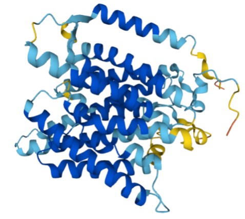 Figure 1. The Structural Features of Blood Group Rh(D) Polypeptide (UniProt)