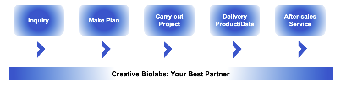 Fig.1 Process. (Creative Biolabs)
