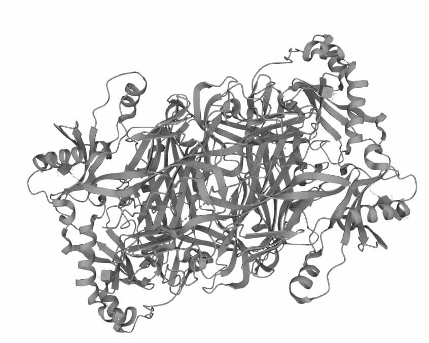 Figure 1. The Structural Properties of Human AOC3. (UniProt)