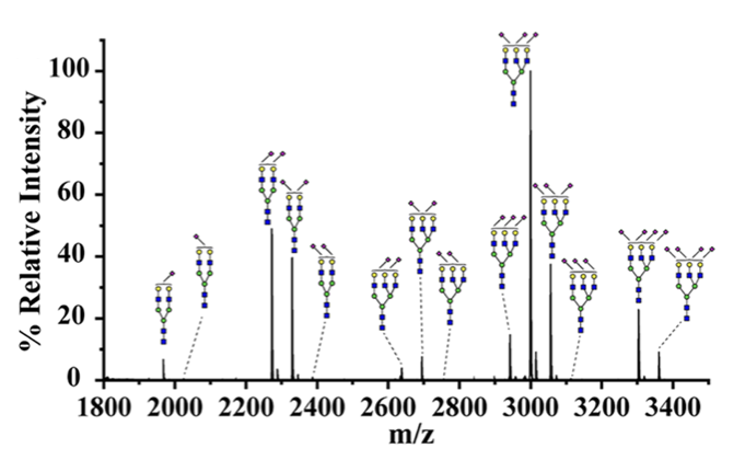 MALDI mass spectrum analysis of sialylated N-glycans
