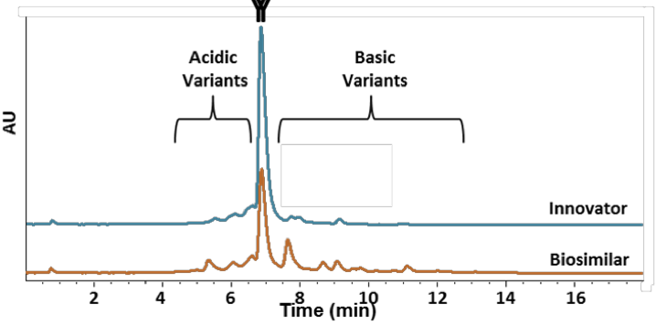 Charge variant profiles of the rituximab biosimilar